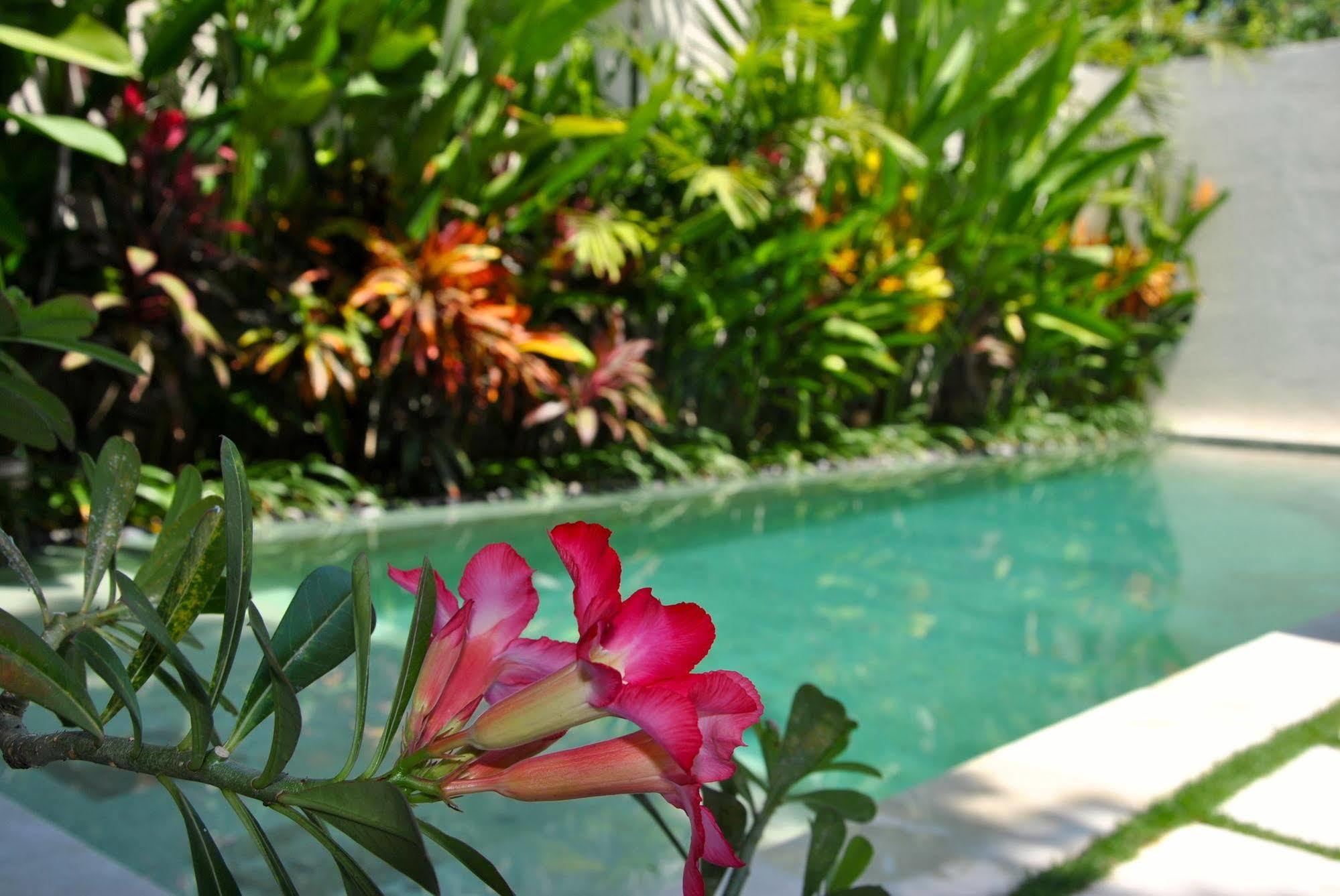 סמיניאק Villa Bali Asri Batubelig מראה חיצוני תמונה
